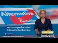 Verfassungsschutz vs afd