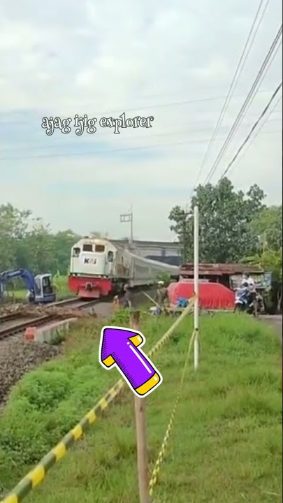 Detik-Detik Rombongan Bebek Terlindas Kereta Api #shorts
