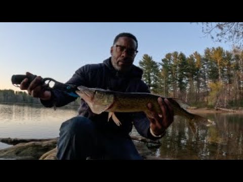 Early Spring Bass & Pickerel Fishing using Swimbaits