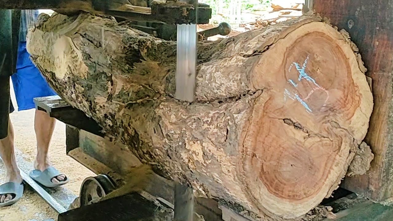 sawing old teak logs full of beautiful grain into expensive frame ...