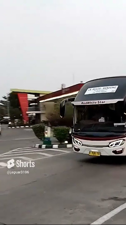 bus telolet basuri#primajasa#🙋🙋♀️🙋♂️#$horts