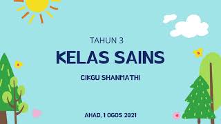 Kepentingan Pembiakan Tumbuh-tumbuhan / Tahun 3 / Sains Kepentingan Pembiakan Tumbuh-tumbuhan / Tahun 3 / Sains