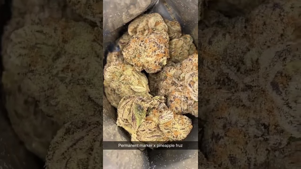 UK MEDICAL CAN GREEN KARAT PERMANENT FRUZ