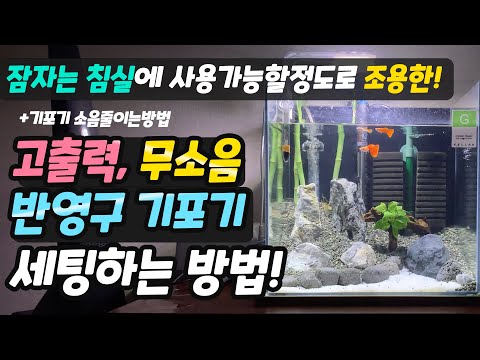 핵꿀팁!모르면 손해!소음없고 내구성좋은 출수량 강력한 어항 기포기 세팅방법!! 구피키우기 어항세팅 정보!! 기포기 소음제거 / 브로와 소음제거 / 브로와 설치 세팅방법!