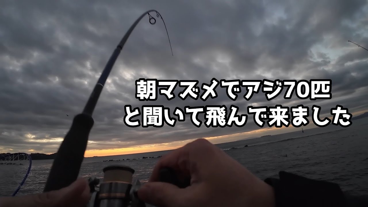 朝マズメでアジ70匹と聞いて飛んで来ました