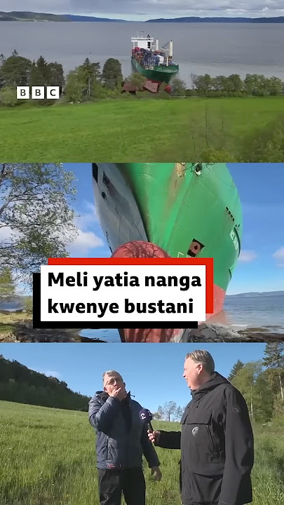 Meli yatia nanga bustanini