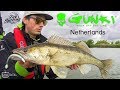 Gunki TV - Dutch Zander Fishing - Fish Spotting (French Subtitles)