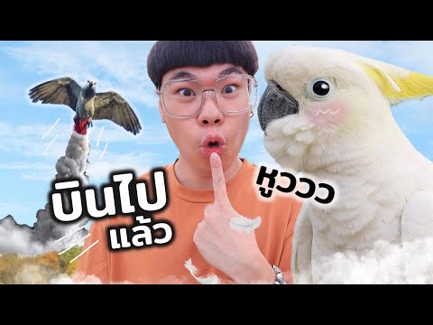 ตามติดชีวิตนกแก้ว...ของใคร??