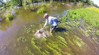 Bowfishing without a Bow