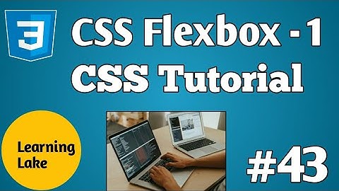 CSS Flexbox Tutorial | CSS flexbox property | CSS flexbox container property css flexbox basics #43