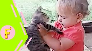 Baby and Cat Fun and Cute #8 - Funny Baby Video