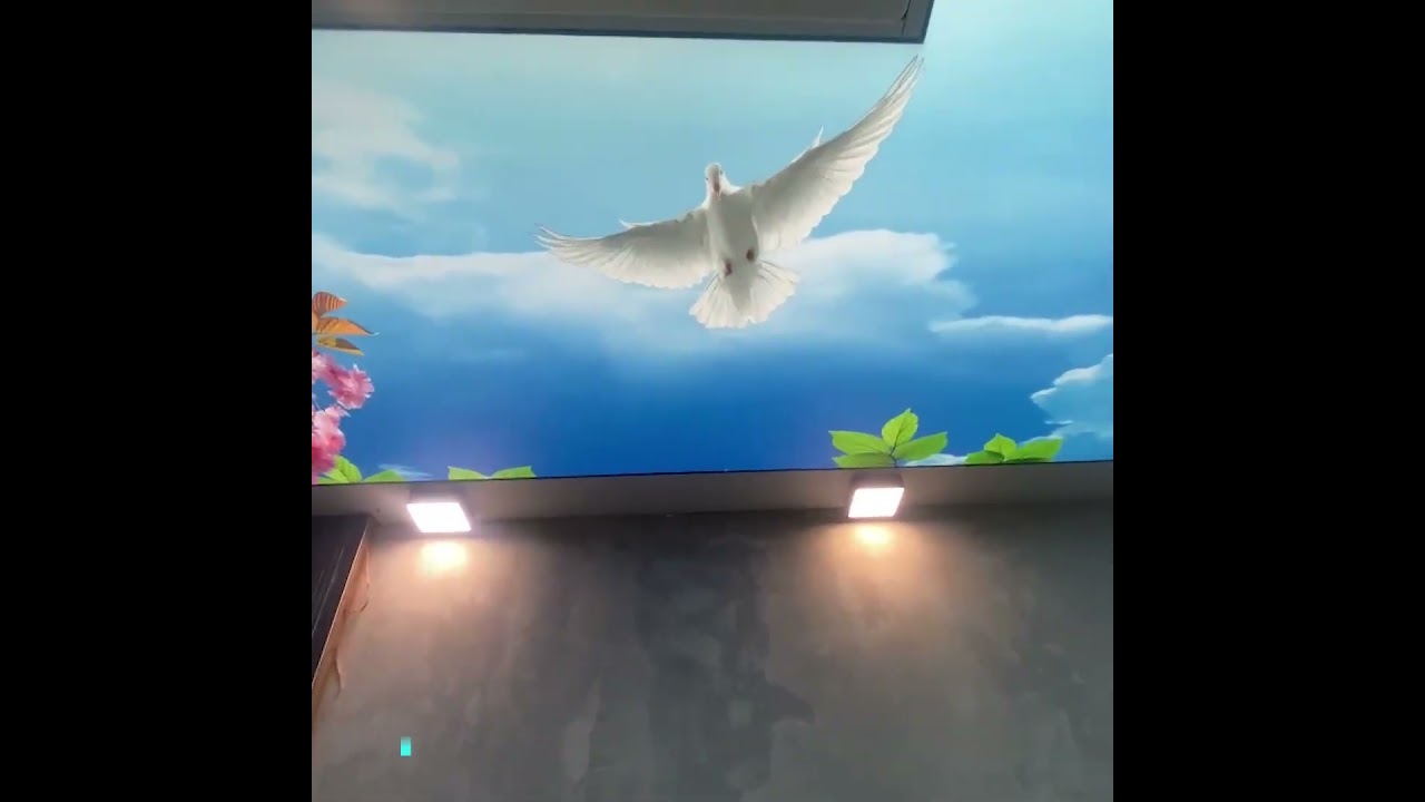 Printed Stretch Ceiling for Scan Room | Murugan Hospital Kilpauk Chennai | ICEIL Project