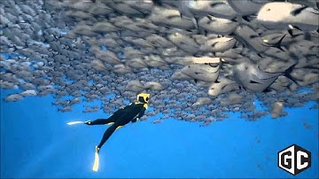 Abzu offers surreal underwater exploration