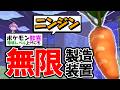これで困らない!無限ニンジン製造装置の作り方【ぽこあポケモン】