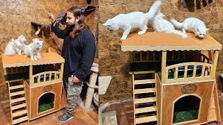 Beautiful Cat House at Drogo Pets | Best Make in India Cat House