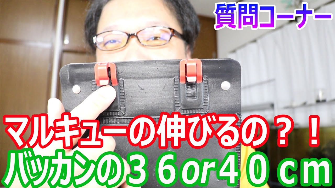なんか投げたら小さくなるやつ maxresdefault.jpg
