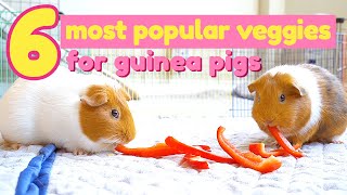 6 Most Popular Vegetables for Guinea Pigs | GuineaDad