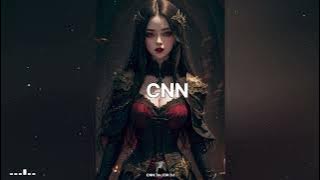 【不值得 】你的好是共享品 突然不想要了 - CNN TIKTOK DJ 2024