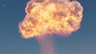 CHICKEN EXPLOSION | FINAL PROJECT