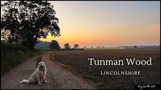 A walk around Tunman Wood (1)LincolnshireUKVirtual WalkDog Walking Route4K