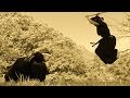 権之助 対 武蔵|時代劇ショートムービー|iphoneで撮影