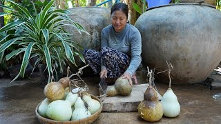 Harvest bottle gourd, Wax gourd, Wattle climbing and cooking - Sreypov life show