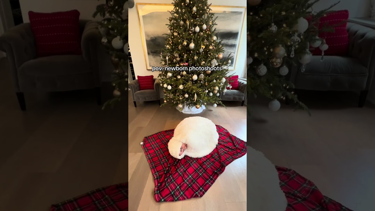 the way they’re just existing & have no idea what’s happening 😭😭