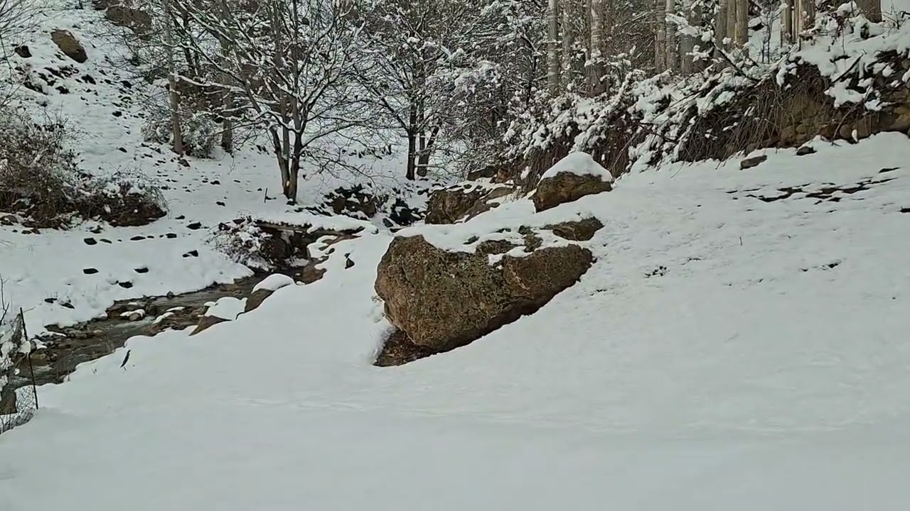 Qar Şövqiyə düşərli olmadı