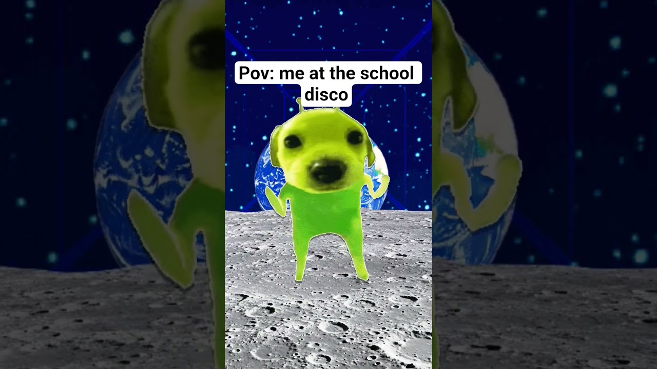 pov me at the school disco 