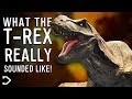 What did the trex really sound like