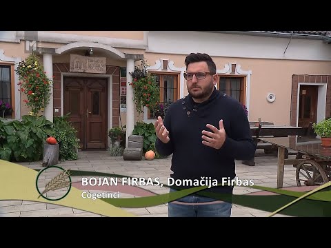 Video: Steklenice Za Pridelke, Urejene Z Genomi, Na Cesti Od Laboratorija Do Kmetije