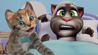 القط توم المتكلم والأصدقاء  -كرتون للاطفال  Cute Cats vs Talking Tom gameplay for kids screenshot 5