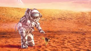 Prince Kaybee  Fetch Your Life feat Msaki