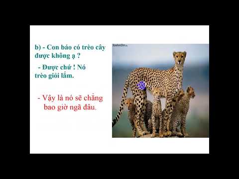 Tuần 23, Lớp 2, Video bài giảng môn TLV, Bài Đáp lời khẳng định.Viết nội quy