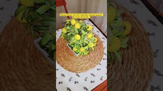 Namaz Kilarken Ni̇ye İlki̇n Subhaneke Duâsiyla Başlariz.. Şfedüş Şfetteyiz Şfet