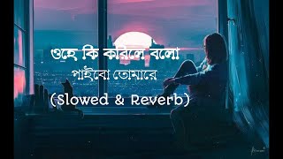 Majhe Majhe Tobo (মাঝে মাঝে তব ) | Prashmita Paul | Rabindra Sangeet | Music Series