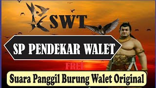 Suara Panggil Burung walet (Pendekar Walet) Free swiftlet Calling Voice