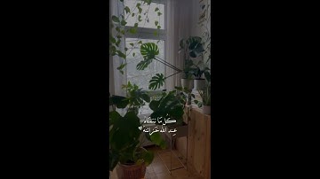 سورة الفرقان بصوت القارئ شريف مصطفى اللهم صل على محمد