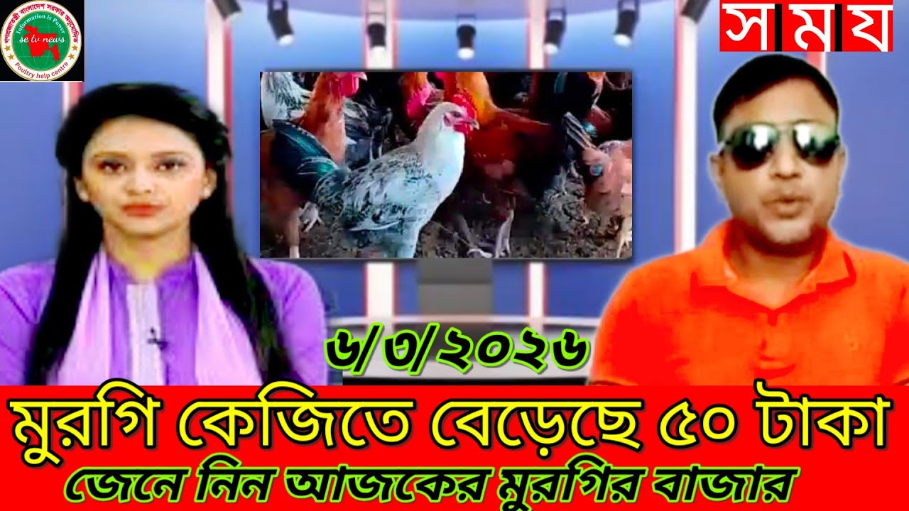 মুরগি কেজিতে বেড়েছে 50 টাকা জেনে নিন আজকের মুরগির বাজার ajjker murgir Bazar poultry farm, poultry