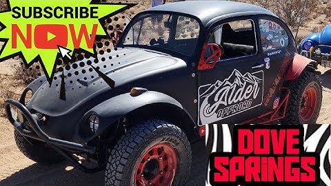 bajabug things in the mojave desert.