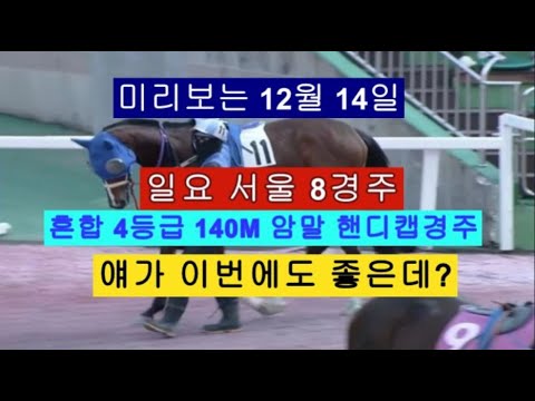 12월 14일 미리보는 일요 서울 8경주 같이한번 공부해봐요