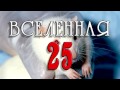 Эксперимент «Вселенная 25»