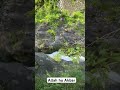 Quran Urdu translation