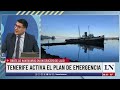 Síntomas y riesgos: nueva cepa Andes de hantavirus