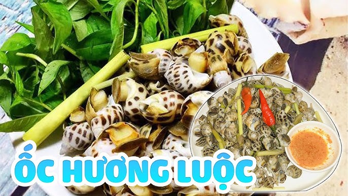 7. Giá Trị Dinh Dưỡng Của Ốc Hương