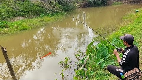 Câu cá lóc_Lên hàng ngày gió và rất lạnh @Hữunghị tv