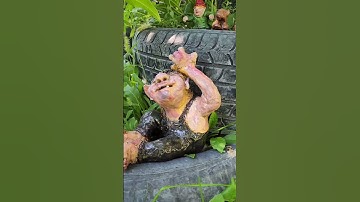 Time-Traveled Gnomes — A New Chapter in the Garden #garden #gnomes #chickenchronicles