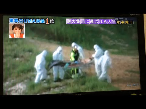 Uma映像 人類初 ついに人魚捕獲 Youtube Uma映像 人類初 ついに人魚捕獲 Youtube