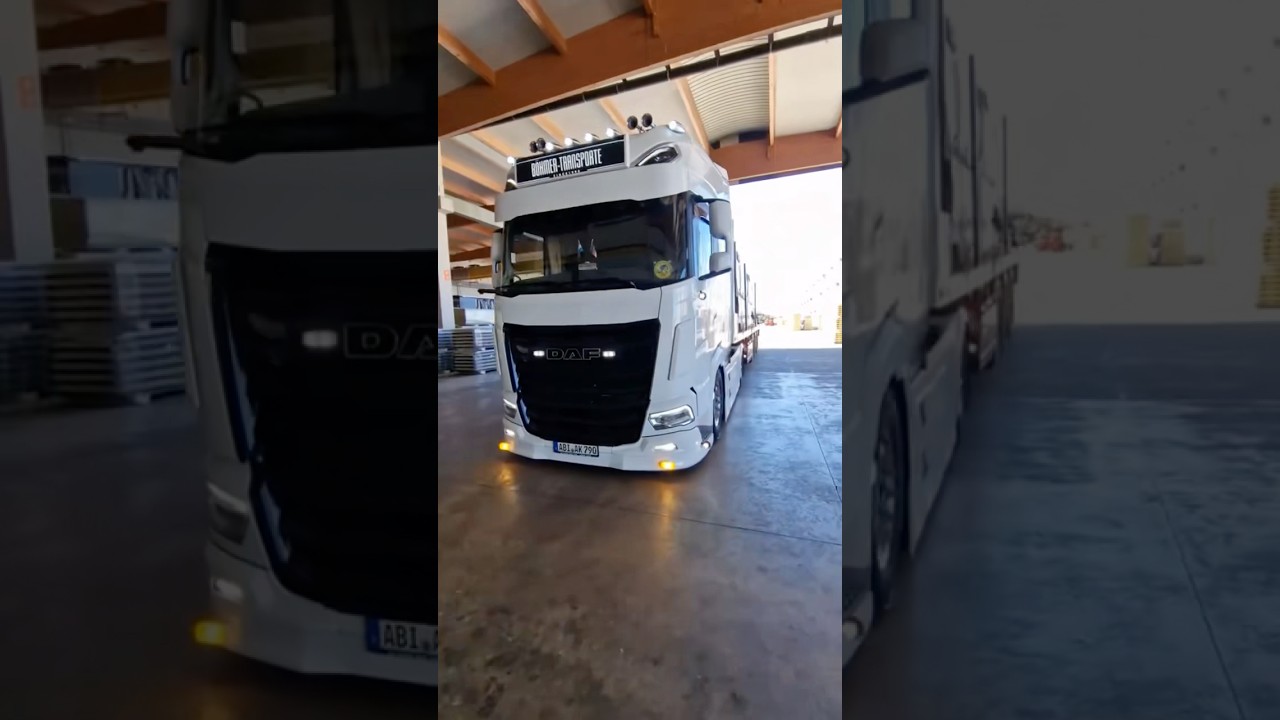 DAF XG NEW