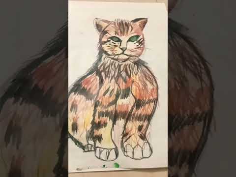 Cat ka drawing #music #popular #viral #trending